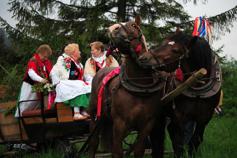 Redyk. Korbielów. Dojenie owiec. Beskidy. Góry. II