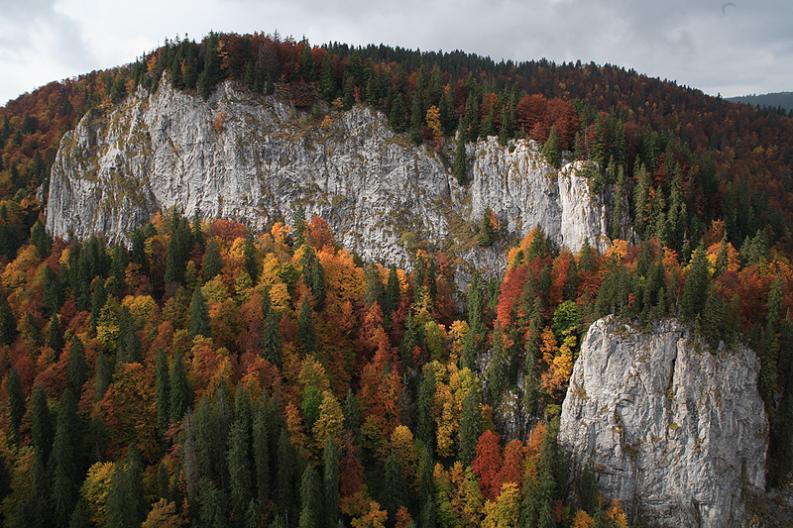 Góry Apuseni I