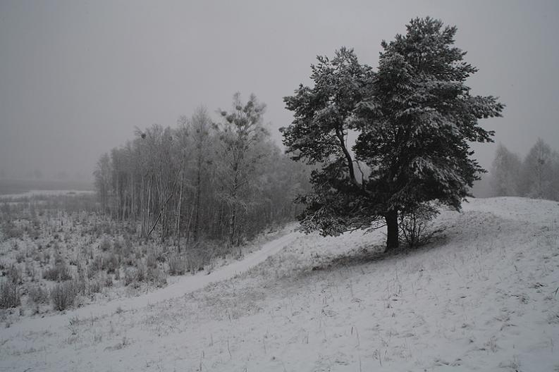 Nowy Świat - zima