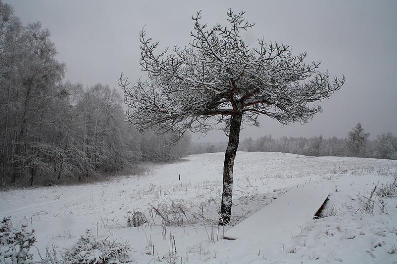 Nowy Świat - zima I