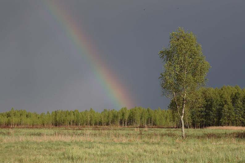 Paśkowizna.