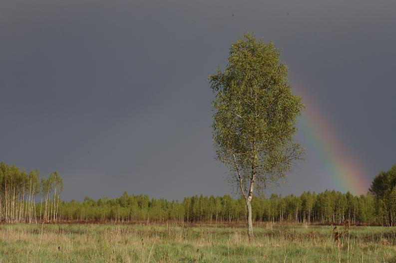 Paśkowizna II