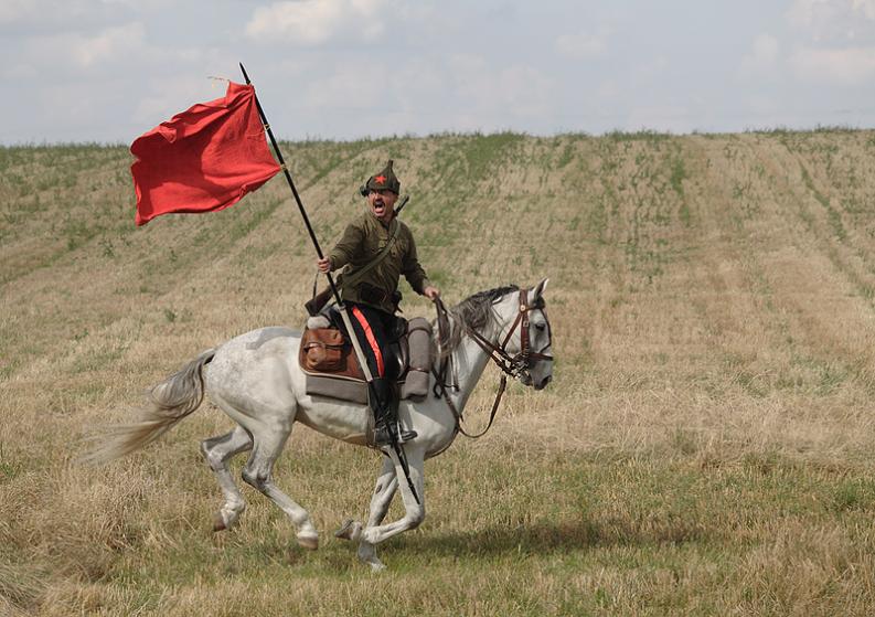 Komarów - pokazy II