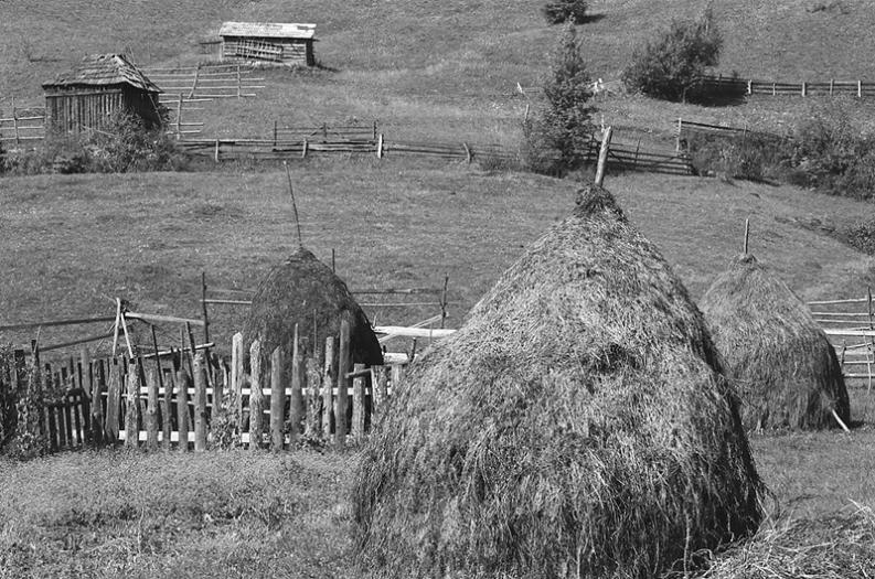 Transylwania - stogi