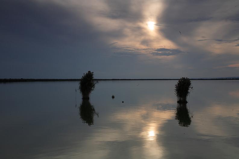 Delta Dunaju 