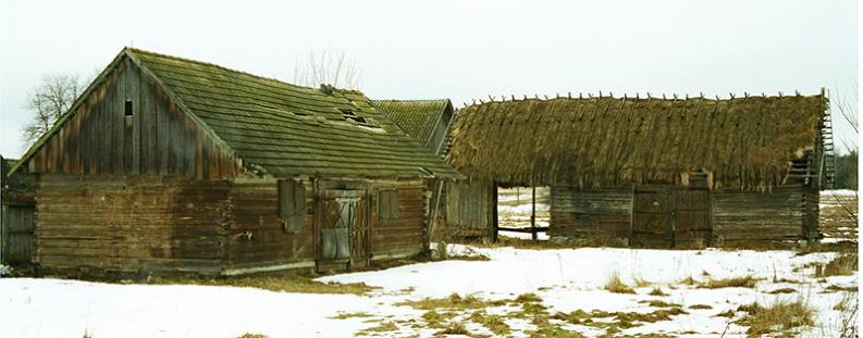 Opaka Wielka, puszcza Białowieska, 2005.