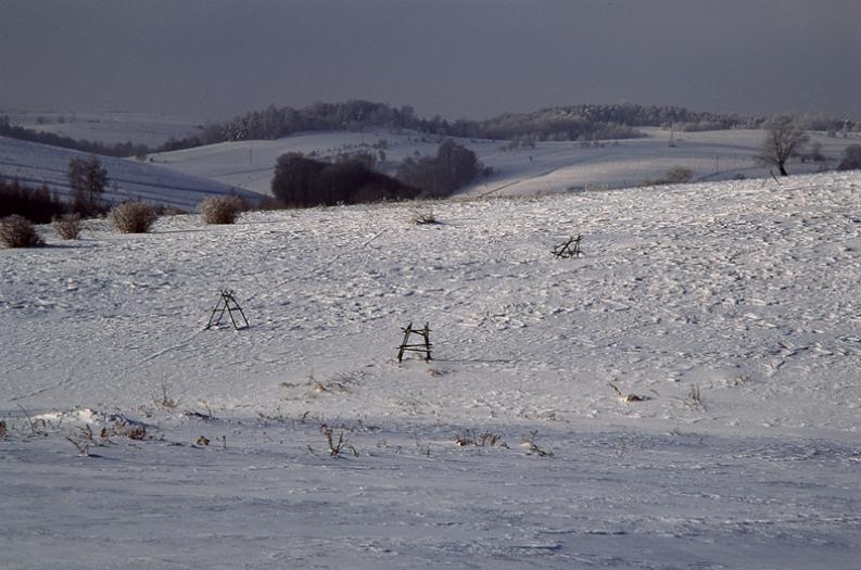 Jura - Żary - okolice - Cicho, cicho, cichuteńko