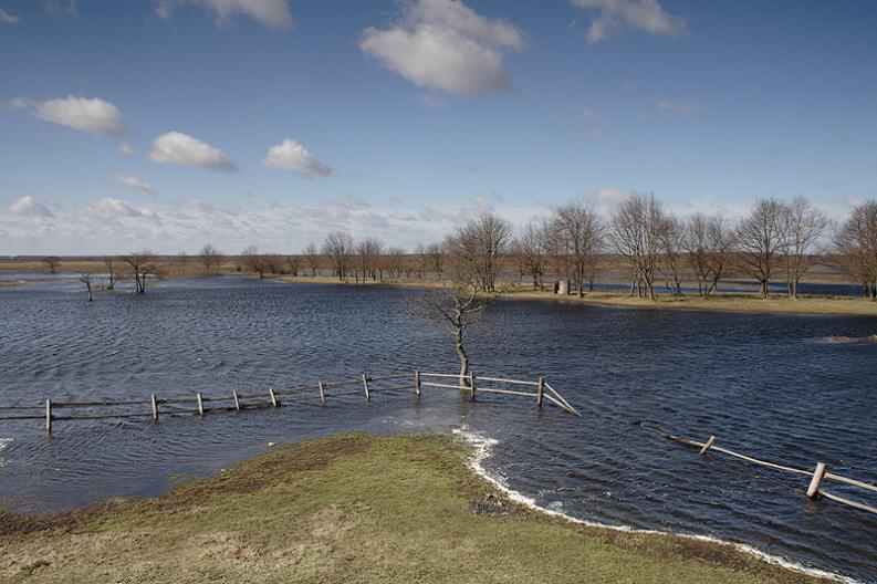 Biebrza - Biały Grąd - rozlewiska wiosenne