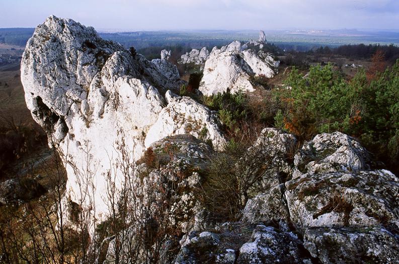 Jura- Rzędkowice. Na skalnym grzebieniu