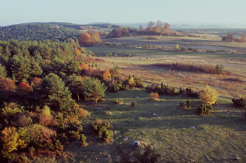 Jura- Rzędkowice. Jurajska przestrzeń II