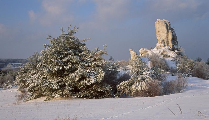 Jura- Rzędkowice w zimowej szacie - Obsypane śniegiem