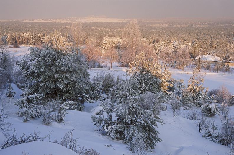 Jura- Rzędkowice w zimowej szacie. Zimowa Jura I