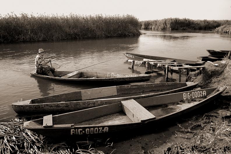 Narew 