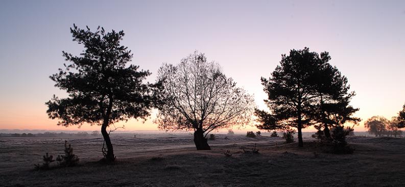 Kapice - brzask