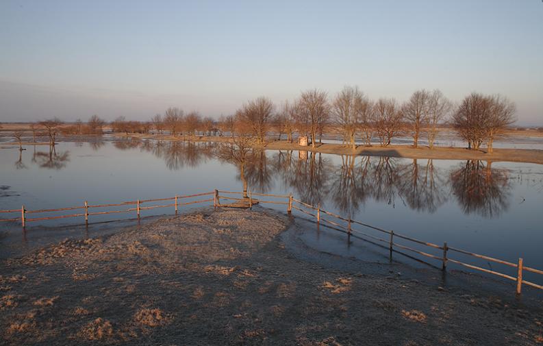 Biały Grąd - poranek