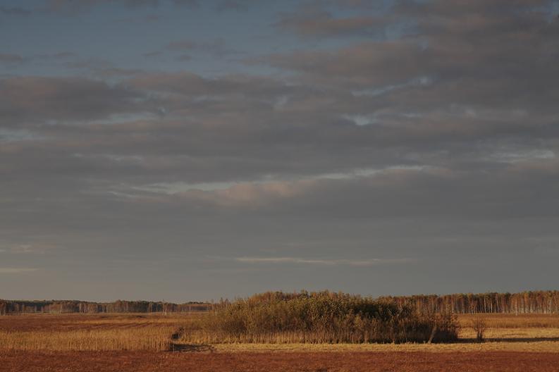 Bagno Ławki - jesienna przestrzeń w wieczornym świetle