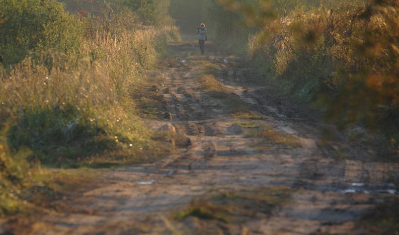 Grobla Honczarowska  - wieczorne plamy i refleksy