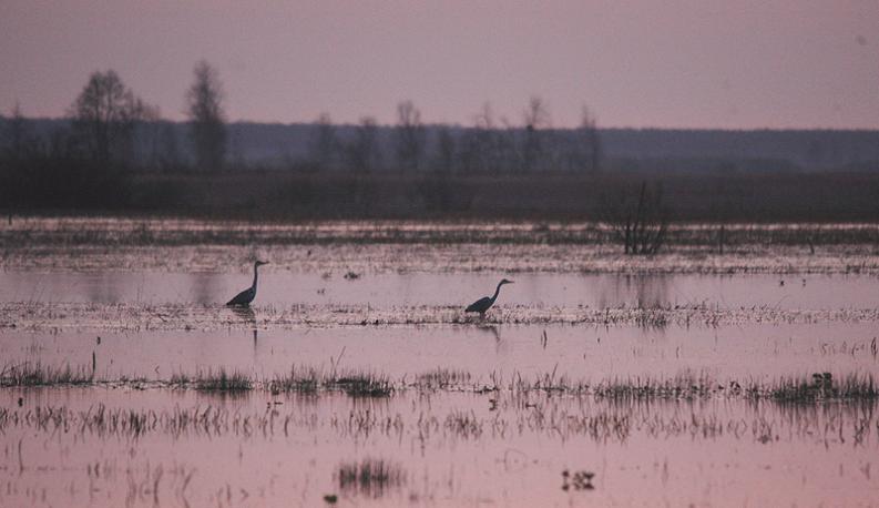 Grobla na Biały Grąd -  brzask