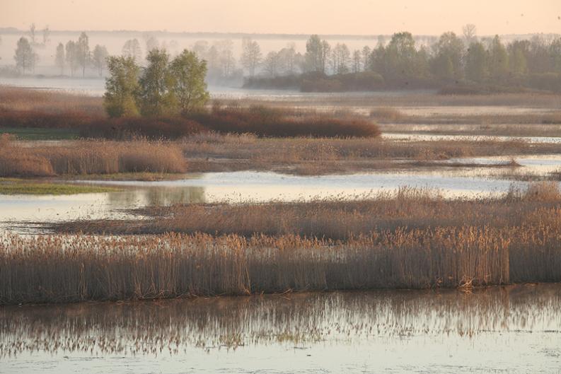 Widok z Góry Skobliewa