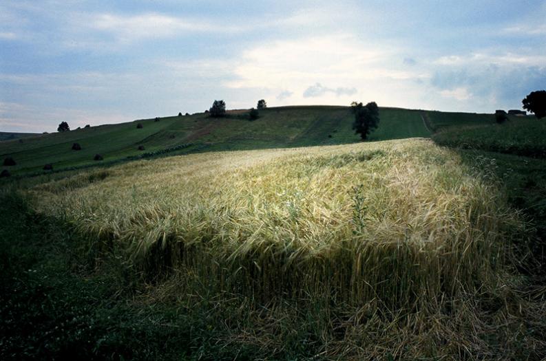 Jura - Żary - okolice - Blask