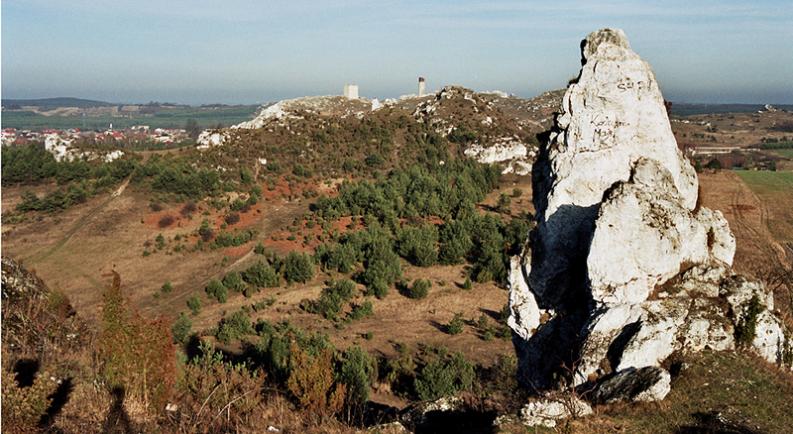  Sokole Góry - Jura - widok na zamek Olsztyn