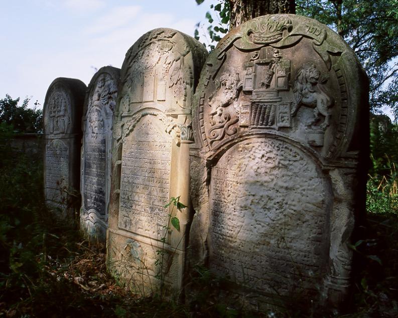 Starachowice. Macewy światłem wydobyte II