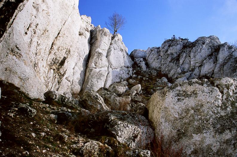 Jura- Rzędkowice. Skalny amfiteatr
