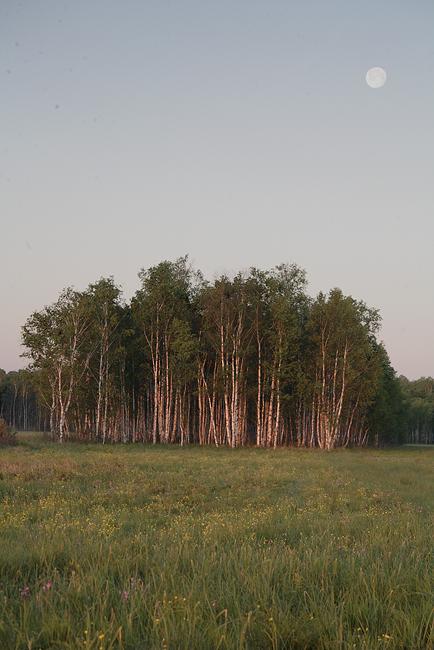 Kapice - zachód księżyca