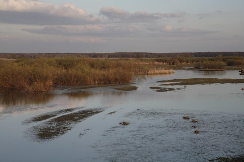 Wiosenne wody - Biały Grąd