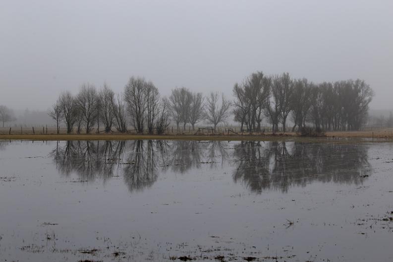 Łąkowe rozlewiska.