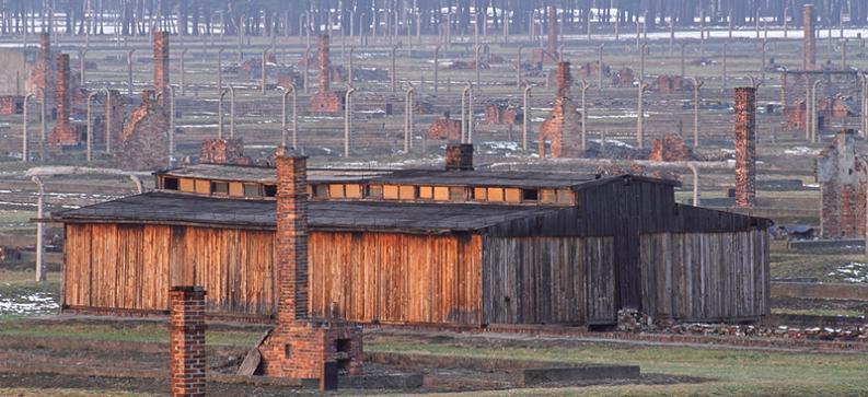 KL Birkenau - Niemi świadkowie II