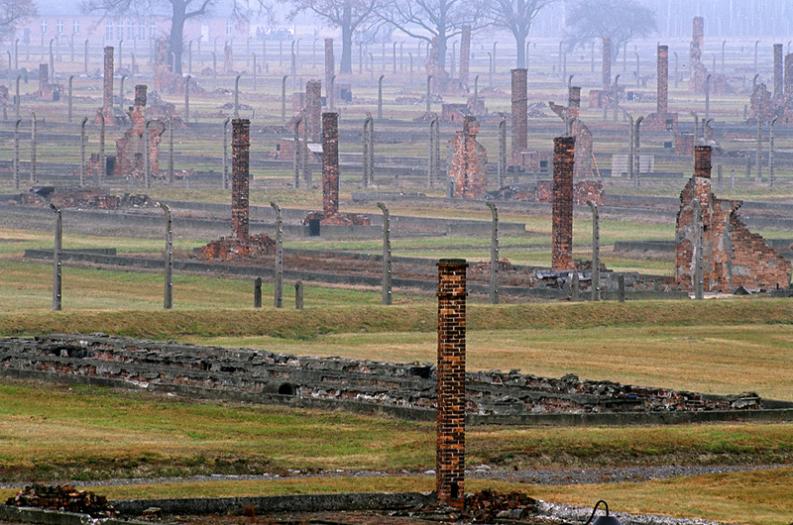 KL Birkenau -  niemi świadkowie II