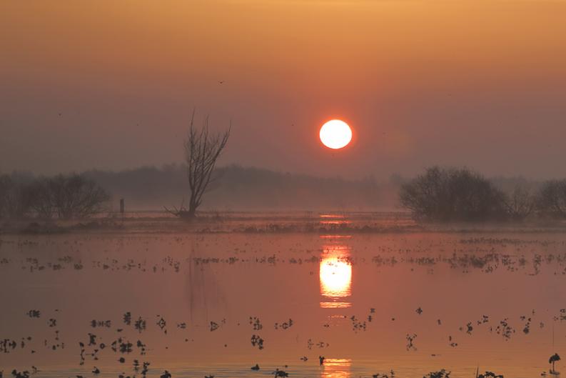 Biebrzański wschód