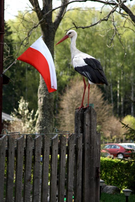 Leśniczówka Grzędy -patriota