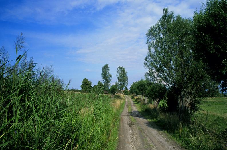 Warmia - Wiejska droga