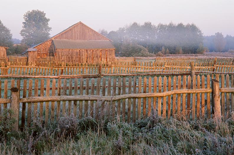 Policzna, puszcza Białowieska, 2006 październik. Płoty