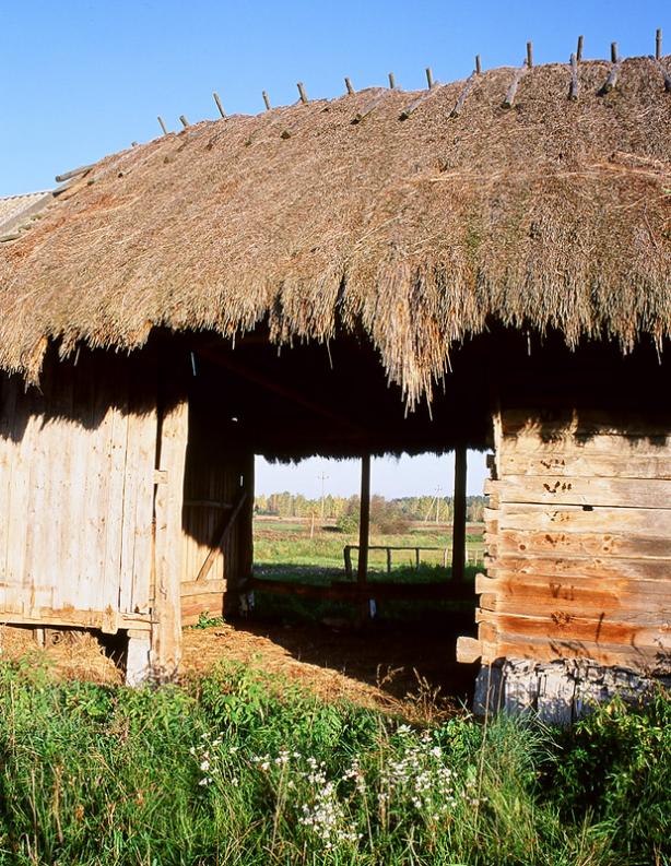 Opaka Wielka, puszcza Białowieska, sierpień 2005. Stodoła