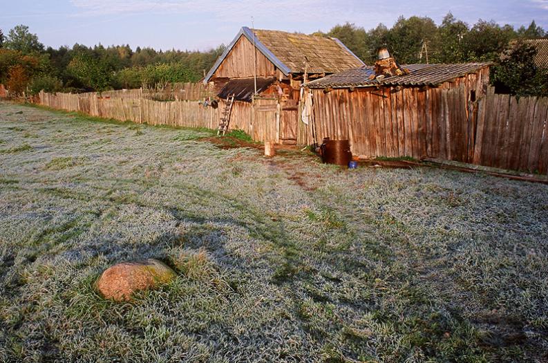 Jakubowo, puszcza Białowieska, październik 2006. W szronie