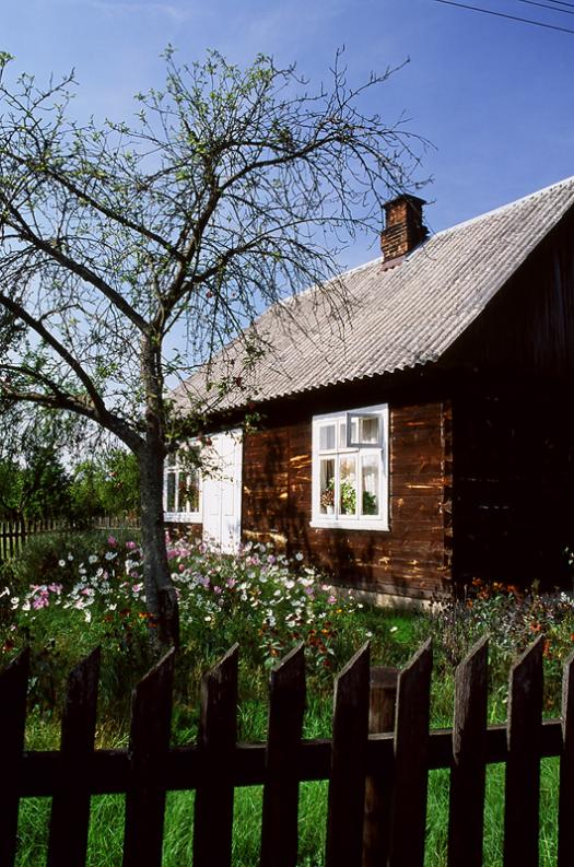 Gabowe Grądy, wieś Starowierów, siepień 2007. Kwietny dom