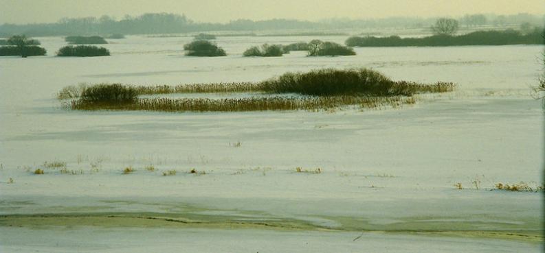 Biebrza - Burzyn - zima