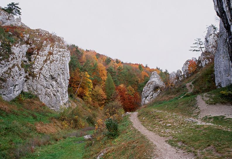 Dolina Będkowska. Jura. Kolory jesieni