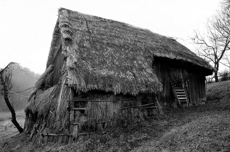 Jura - dolina Sąspowska - Strzecha