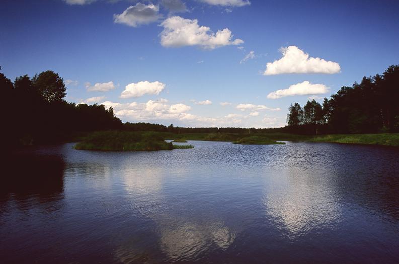 Kostuchna, okolice. Błękity