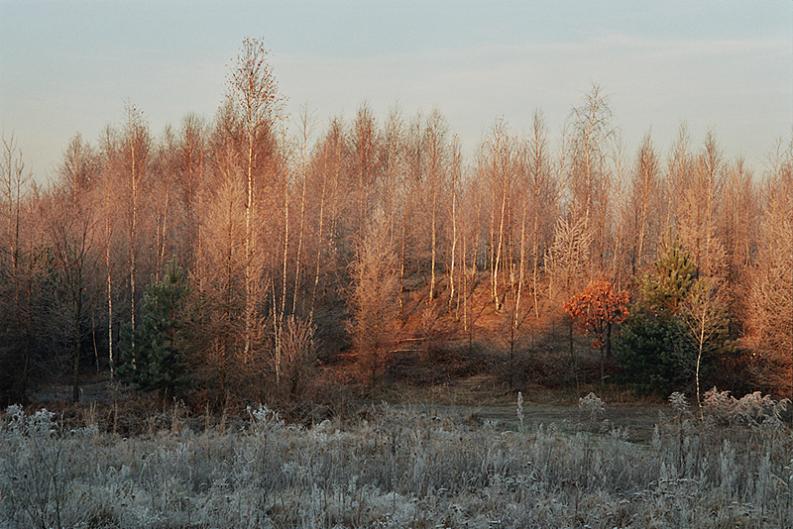 Klucze - Góra Czubatka - pustynia Błędowska II