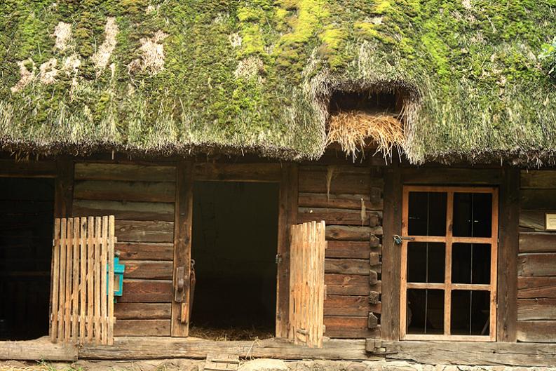 Skansen w Radomiu, sierpień 2007.