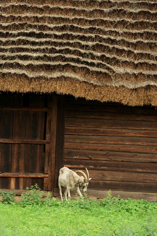 Skansen w Radomiu. Zagroda II