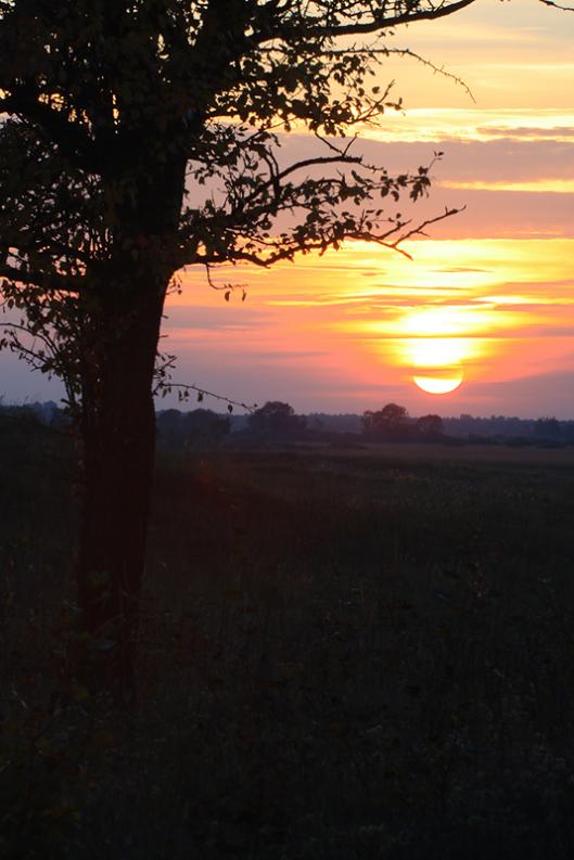 Osowe Grzędy II