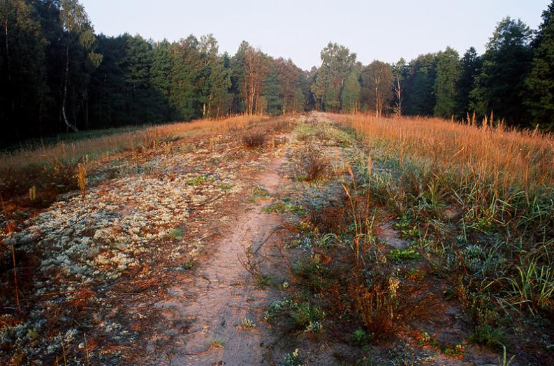 Kapla - Pojedynek -koloryt poranku II