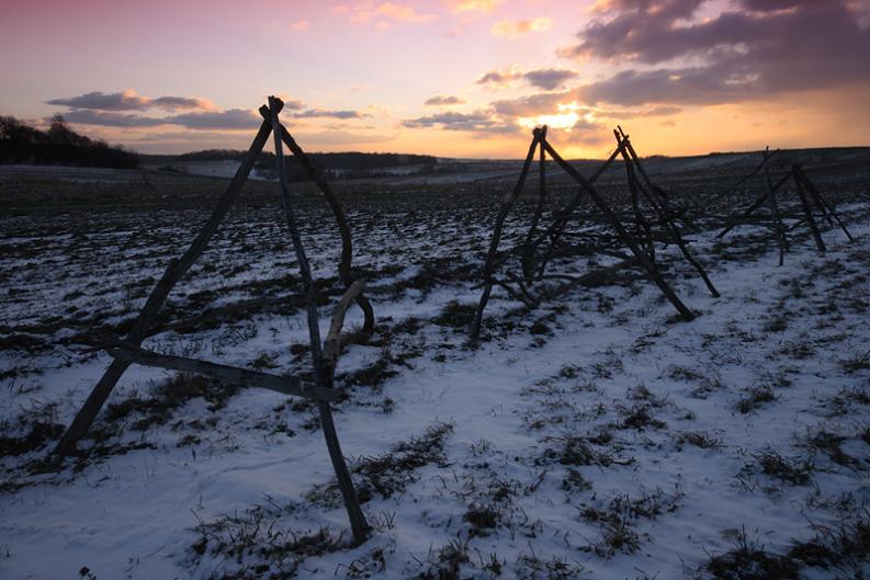 Jura - Żary - okolice I