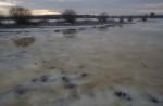 Kanał Rudzki i przyległe łąki zimą. 3